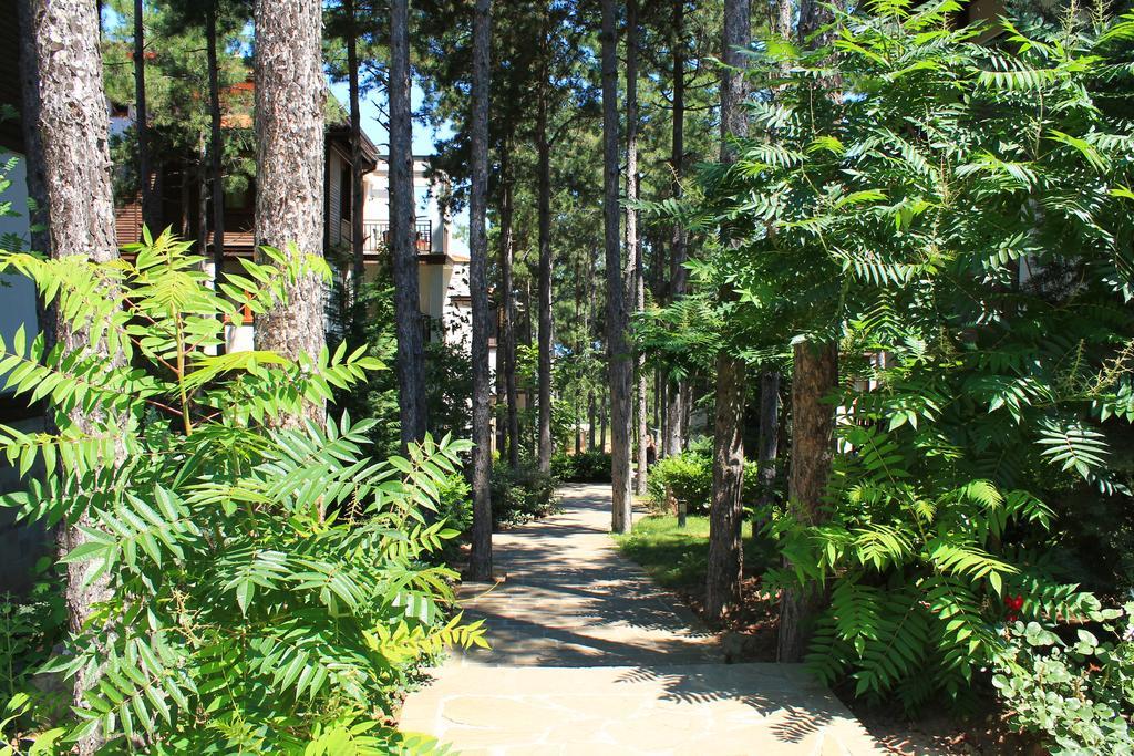 Apartments Dreambg Sozopol Rom bilde